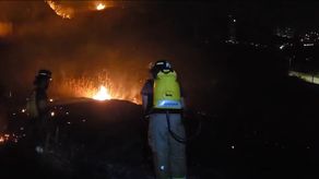 La mayoría de los incendios de masa vegetal son producto de la intervención del hombre. La mayoría de los incendios de masa vegetal son producto de la intervención del hombre.