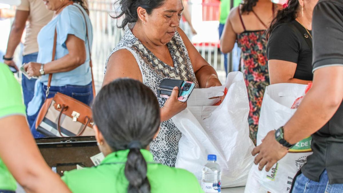 Naviferias del IMA 2025. Naviferias del IMA 2025.