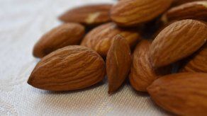 La oportuna mutación que hizo comestibles a las almendras