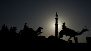 Los dueños de los animales buscan aprovechar la oportunidad abierta por el Mundial.