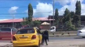 Taxista que arrolló a policía se entrega en La Chorrera con mediación de un pastor Taxista que arrolló a policía se entrega en La Chorrera con mediación de un pastor