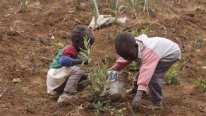 Banco Mundial advierte relación clima-pobreza