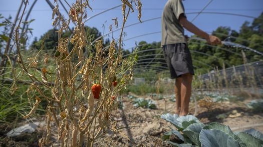 Las condiciones secas desde las zonas más pobladas del este de China hasta las provincias agrícolas han empeorado significativamente, según meteorología.