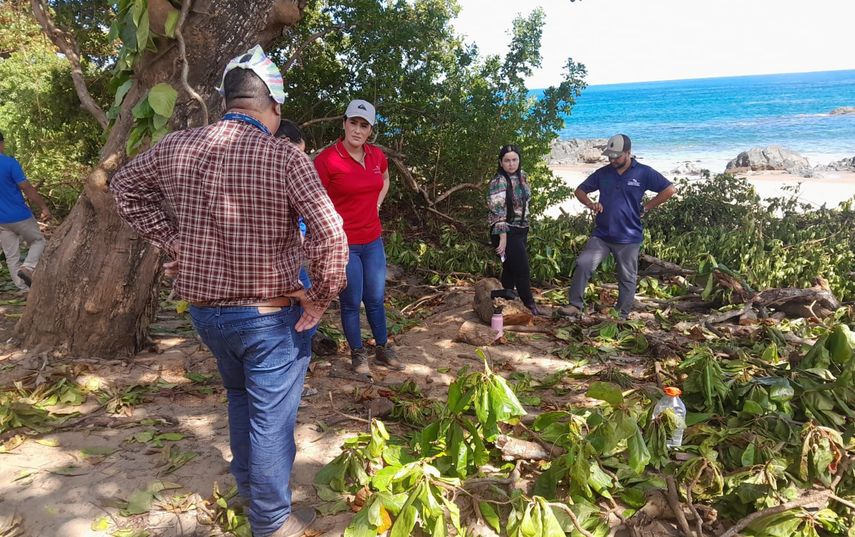 Personal de MIAMBIENTE inspecciona áreas en el distrito de Pedasí.
