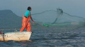 Fotografía cedida hoy por el Fondo Mundial para la Naturaleza (WWF) que muestra a un pescador lanzando su red en aguas mexicanas.