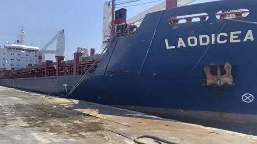 Ucrania afirma que el grano fue robado por Rusia, una acusación que Moscú niega.