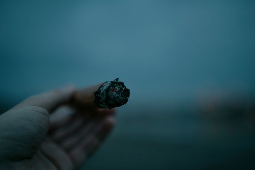OMS pide urgentemente a los gobiernos prohibir sabores en productos de tabaco y nicotina