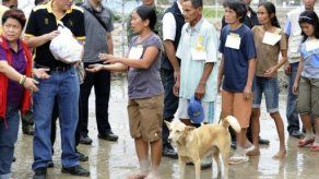 Declarado el estado de calamidad nacional en Filipinas por tifón Bopha