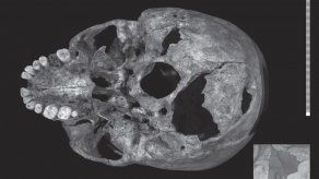 Rey Ricardo III murió luchando con bravura