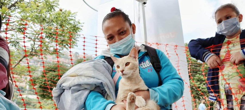 Jornada de Esterilización en ciudad de Panamá.