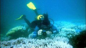 Marcha acelerada en carrera para obtener energía de algas