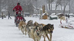 Trineos de perros atraen de nuevo el turismo en la austral Ushuaia