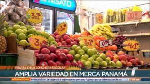 Nutricionistas recomiendan incluir frutas en la lonchera de los niños