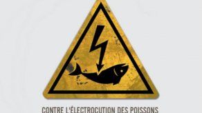 Chefs europeos se unen contra la pesca eléctrica