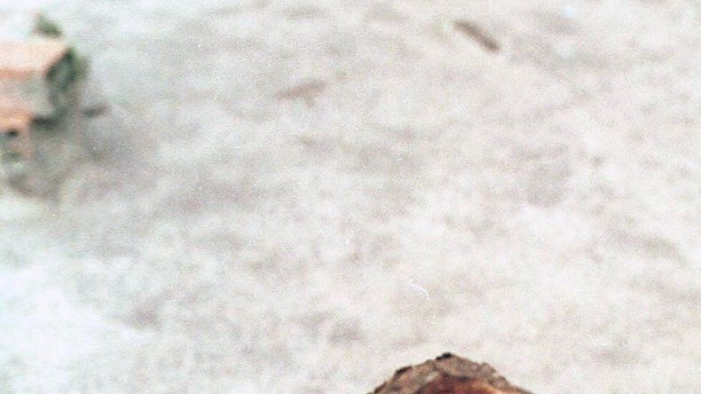 La droga amazónica ayahuasca seduce a celebridades y psiquiatras en EEUU