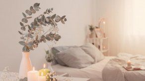 ¿Malos aromas en el hogar? Sigue estos tips para mantener un ambiente agradable