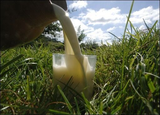 Productores americanos promoverán aumento del consumo de leche en la región