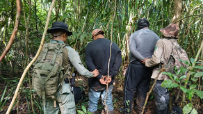 Autoridades decomisan carne de conejo pintado y de venado en la provincia de Coclé.