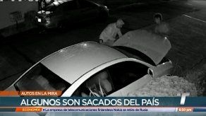 La clonación de autos