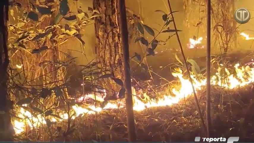 MiAmbiente realiza investigaciones por mano criminar en el incendio en La Yeguada.