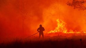 En el operativo para su extinción participaron más de 1,000 bomberos, seis aviones Canadair y tres Dash y dos helicópteros.