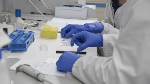 El término de viruela del mono fue usado tras la detección del virus en 1958 en monos de un laboratorio en Dinamarca.