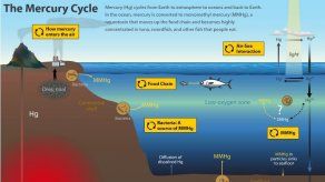 Aumenta contaminación de océanos con mercurio