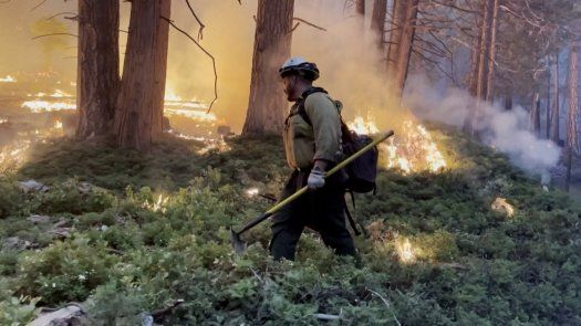 Incendio amenaza a los gigantes secuoyas en California