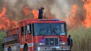 Incrementa el número de incendios de masa vegetal a nivel nacional
