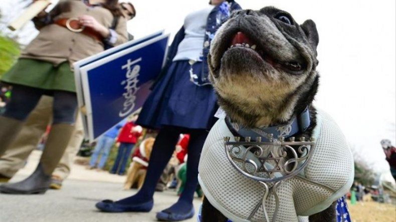 Desfile Reindog en Atlanta EE.UU