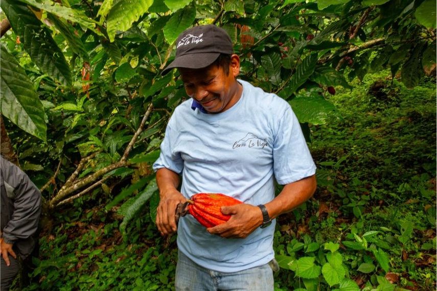 Cacao que protege la naturaleza.&nbsp;