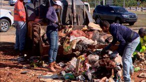 Realizan jornada de recolección de basura en Pedregal