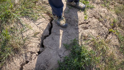 Las autoridades tomarán medidas de emergencia para “garantizar la cosecha de cereales de otoño”, que representa el 75% del total anual de China.