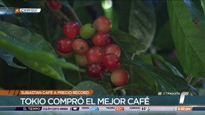 Subastan café panameño a precio récord