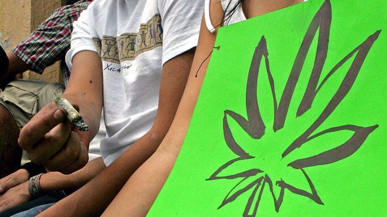 Impacto de legalización de marihuana se verá en el largo plazo, dice experto
