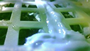 China consigue que una semilla de algodón brote en la Luna por primera vez