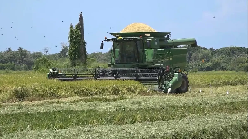 Asociación de Molineros advierte sobre riesgos económicos