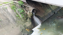 MiAmbiente sanciona con B/.2,500a empresa&nbsp;