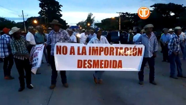 Productores realizan protestas simultáneas en distintos puntos del país contra las importaciones
