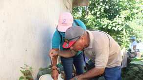 Minsa presenta informe epidemiológico