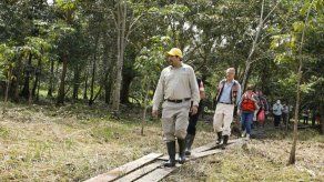 Reforestan 160 hectáreas del humedal San San Pond Sak en Panamá