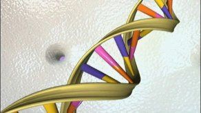 Estructura del ADN