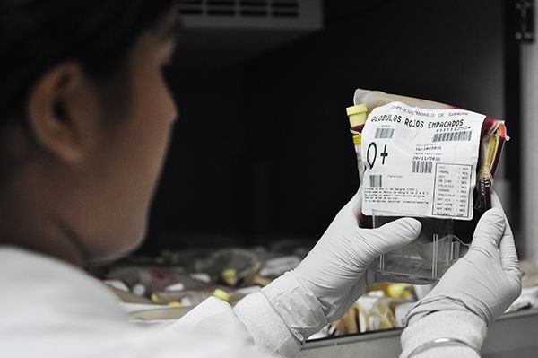 Instan a personas a donar sangre en diciembre y enero previo a la JMJ 2019