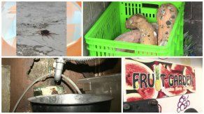 Sancionan a negocio de frutas en Chanis tras detectar roedores