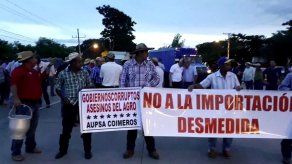 Productores realizan protestas simultáneas en distintos puntos del país contra las importaciones Productores realizan protestas simultáneas en distintos puntos del país contra las importaciones