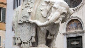 Arrancan un colmillo de la estatua del Elefante de Bernini en Roma