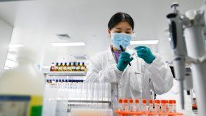 Científicos han señalado que necesitan más investigación para determinar el origen de la pandemia de la covid-19.
