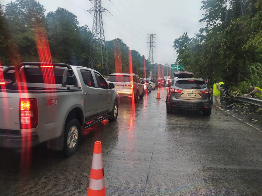 ENA informa sobre el desvío de carriles ante la caída de árbol
