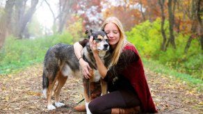 ¿Por qué a mi perro no le gusta que lo abrace?