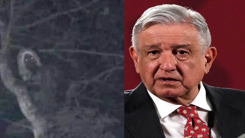 Presidente de México comparte imagen real de un duende